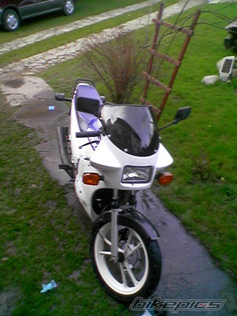 Photo 870071