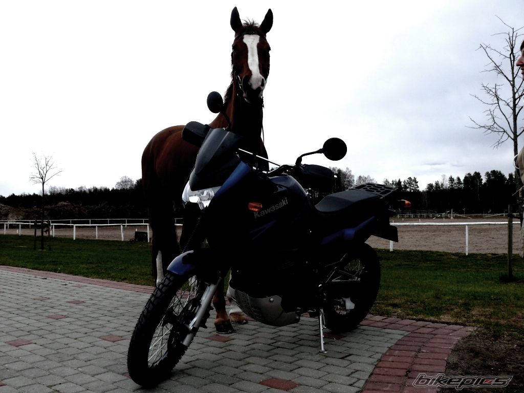 Photo 870291