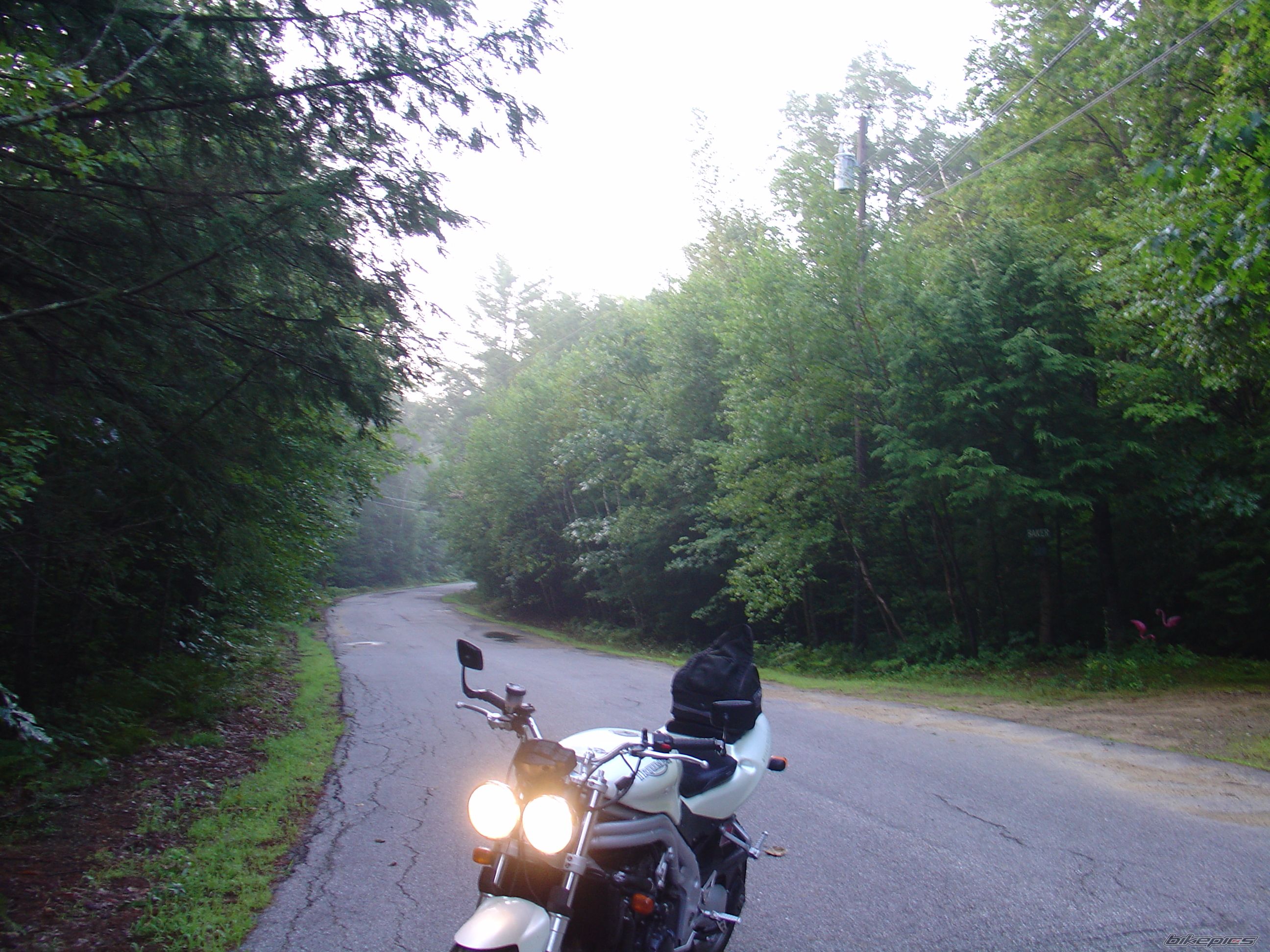 Photo 870361