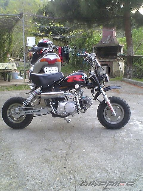 Photo 870566