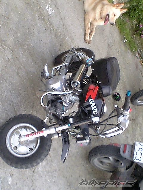 Photo 870575
