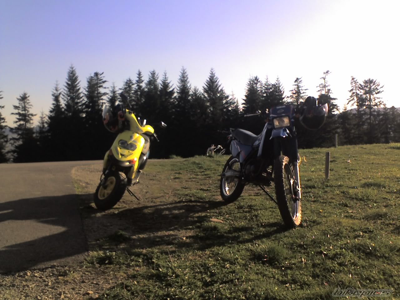 Photo 870660