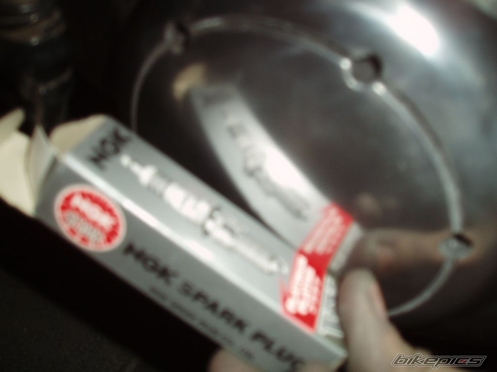 Photo 870670