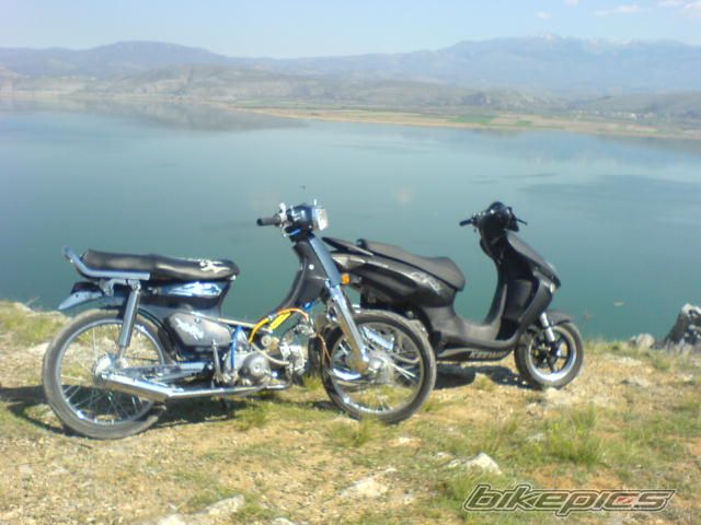 Photo 870692