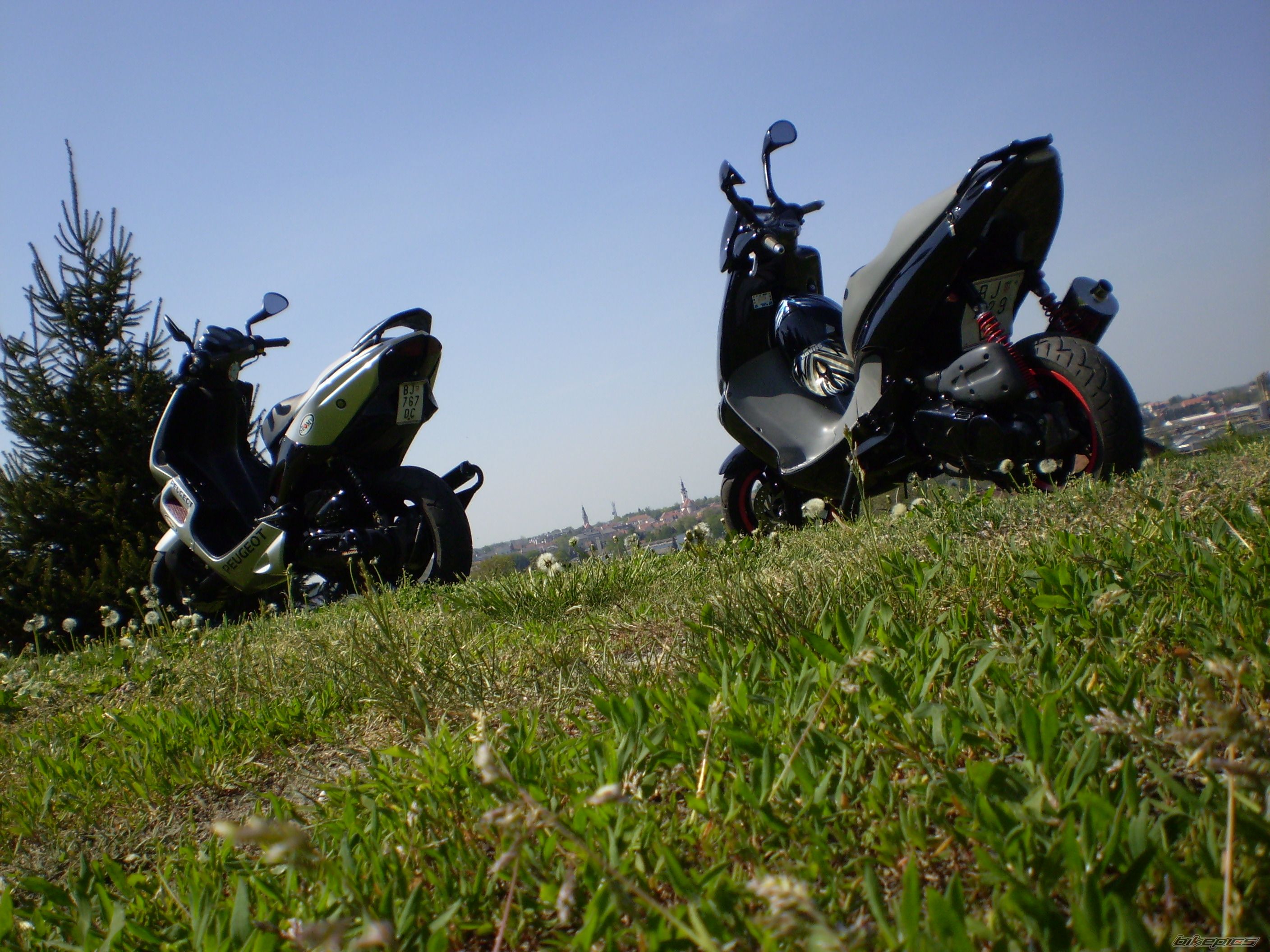Photo 870762