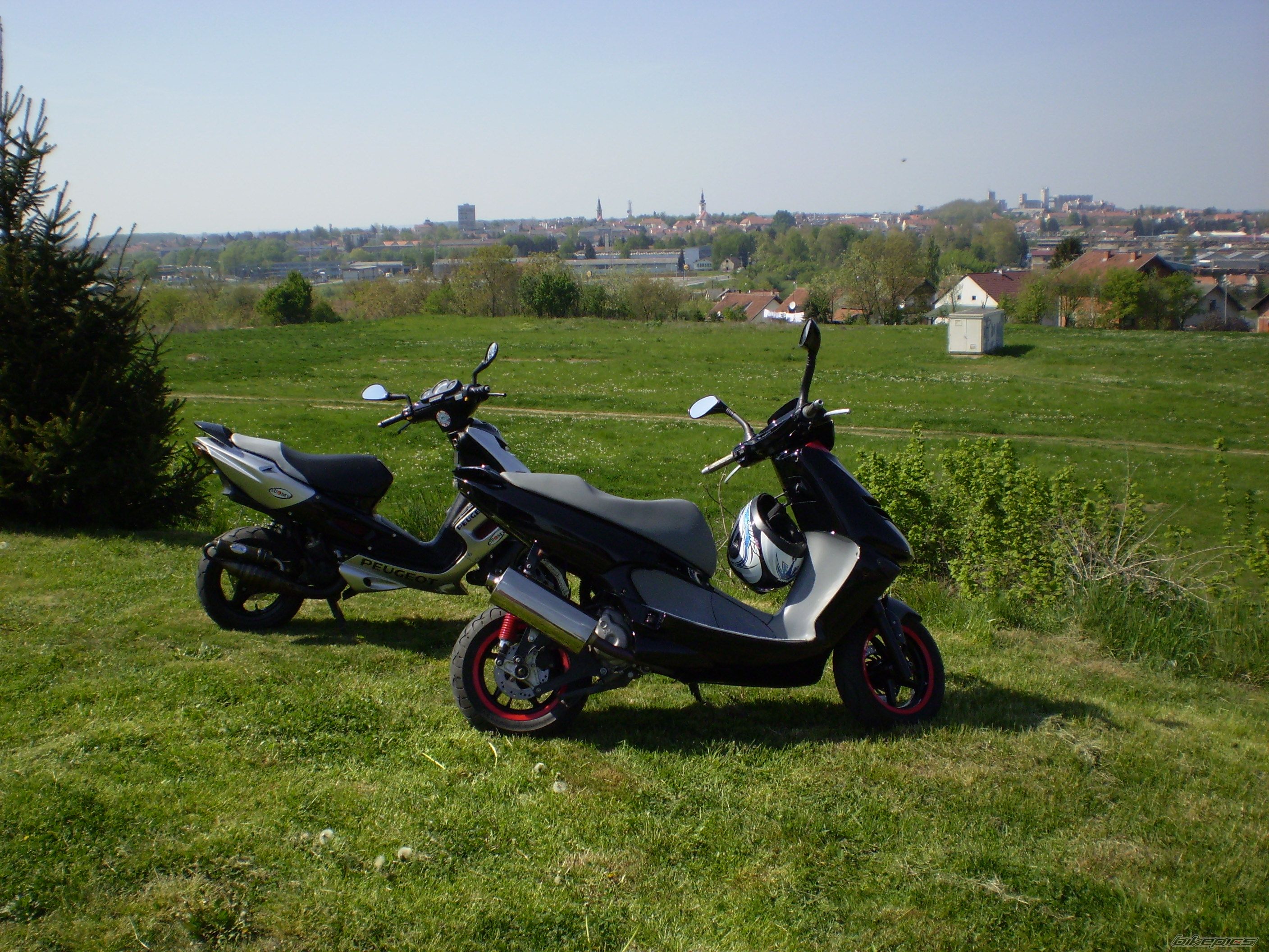 Photo 870765