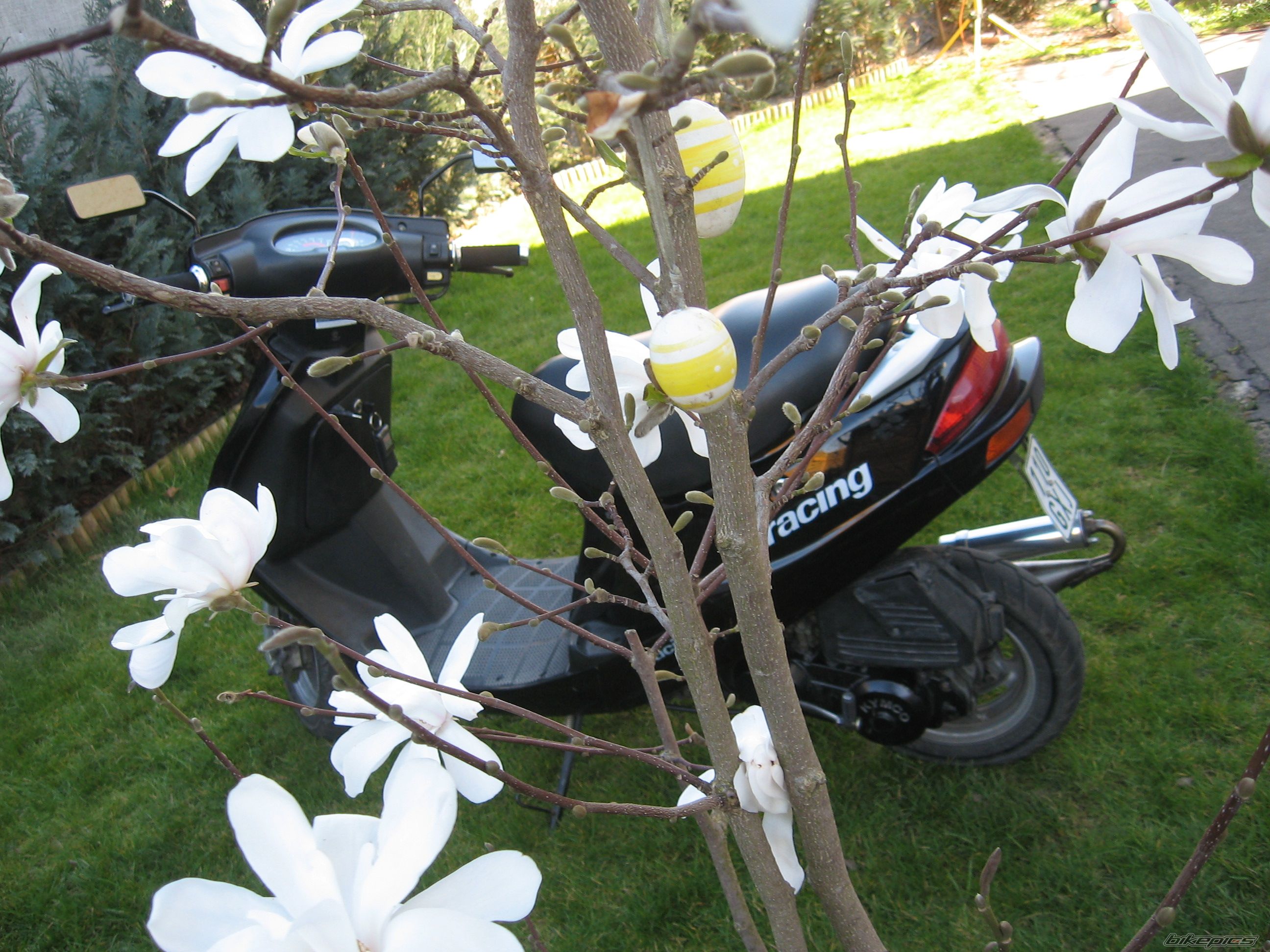 Bike Photo 870798
