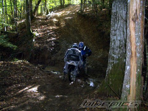 Bike Photo 870871