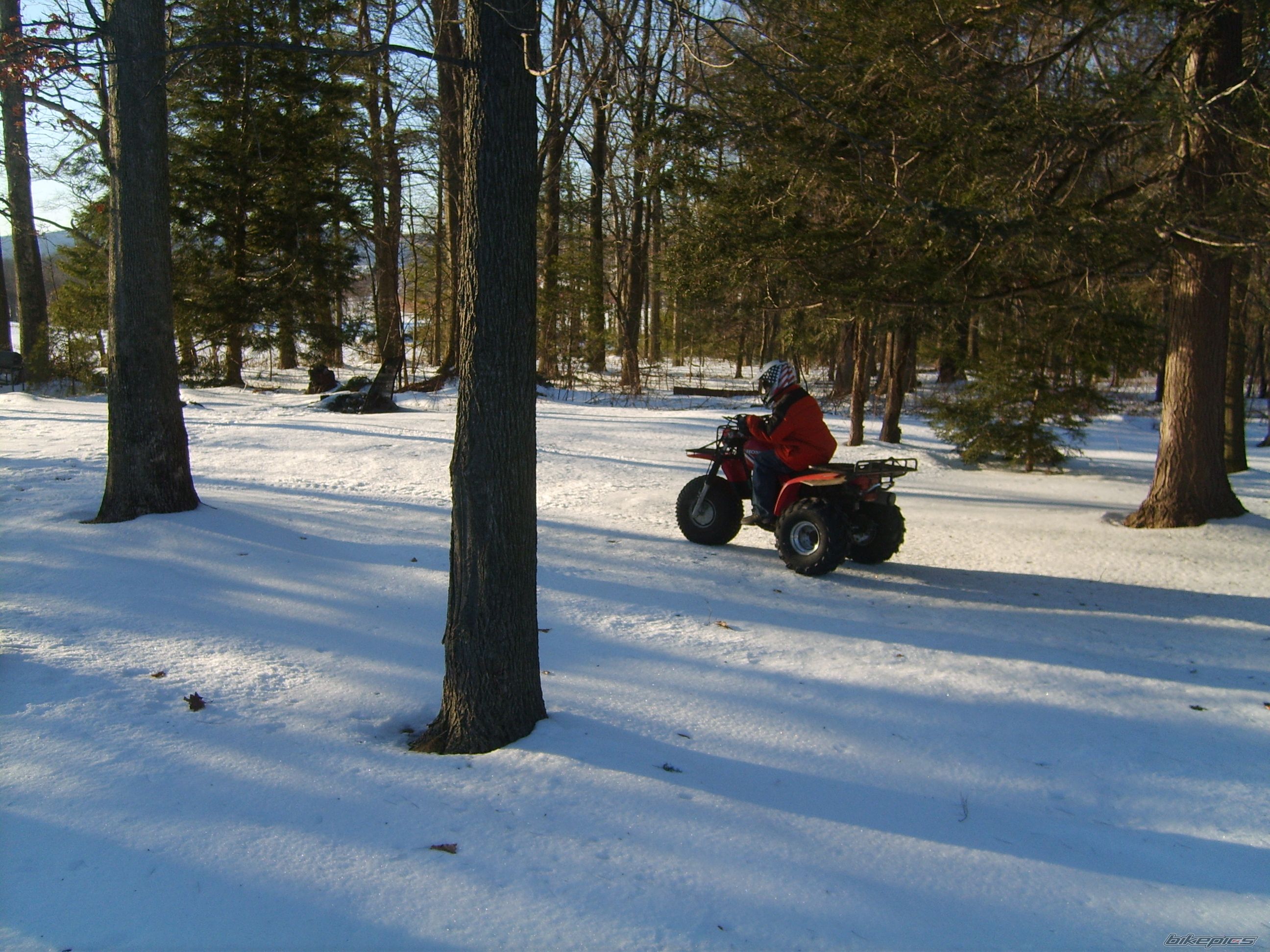 Photo 871177