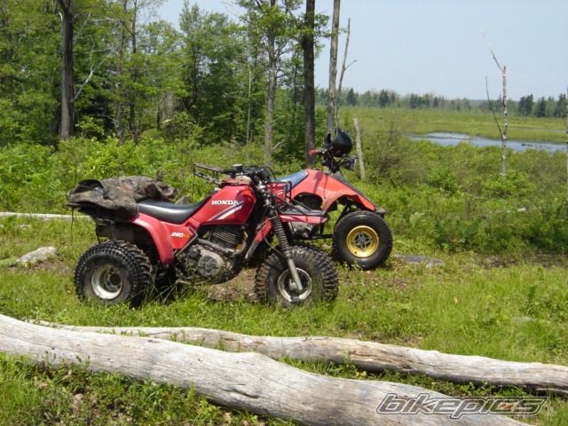 Photo 871199