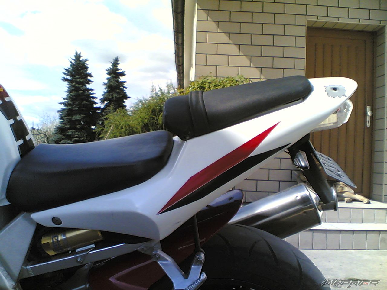 Photo 871245