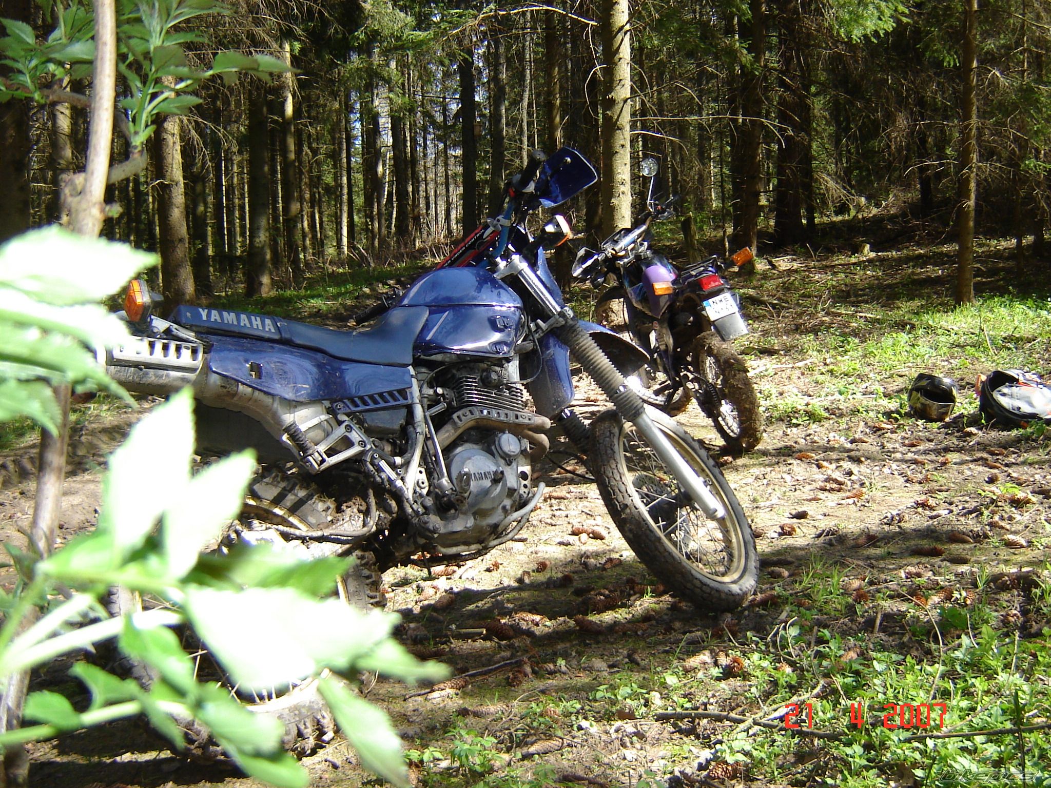 Photo 871429