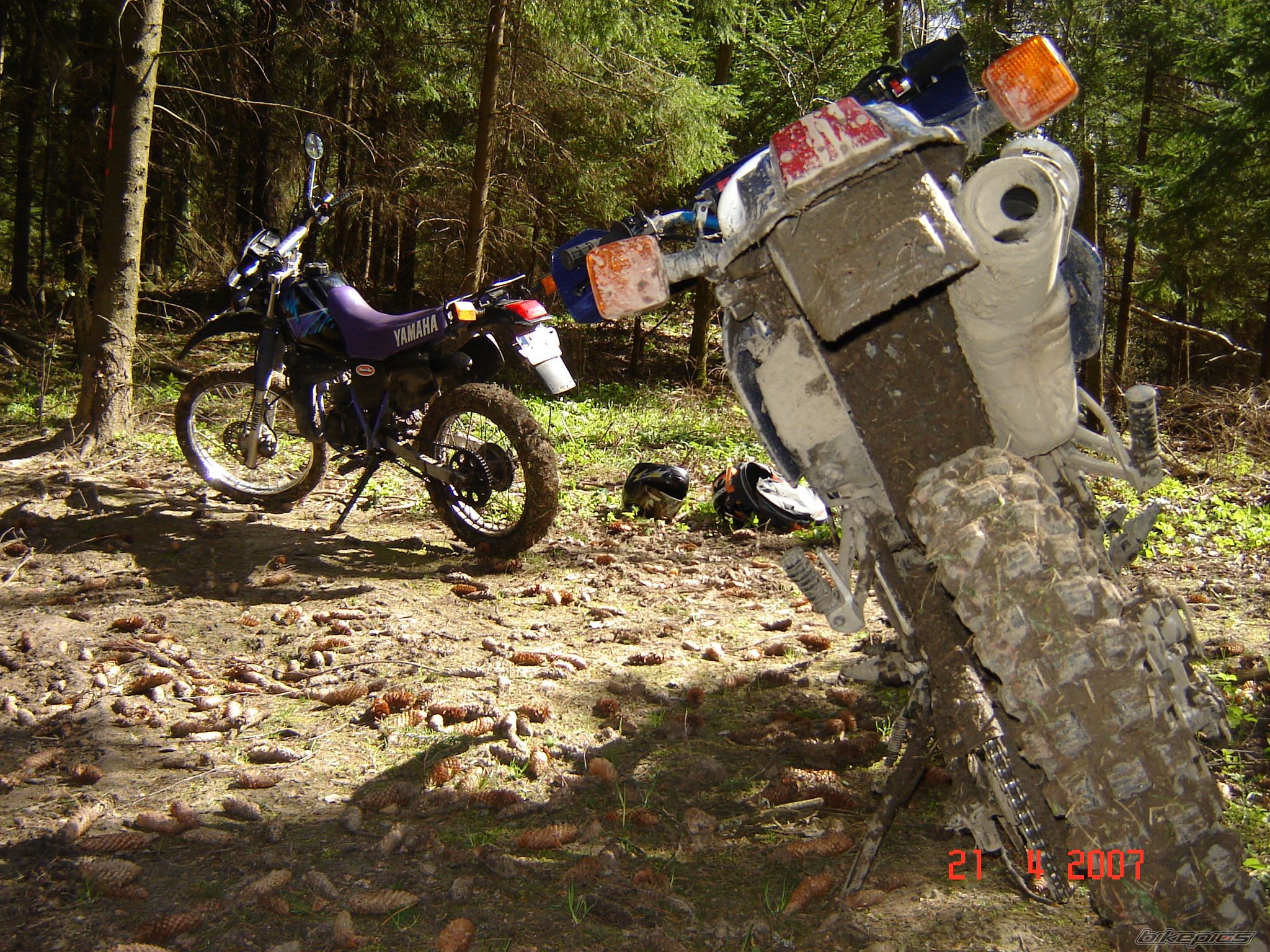 Photo 871433
