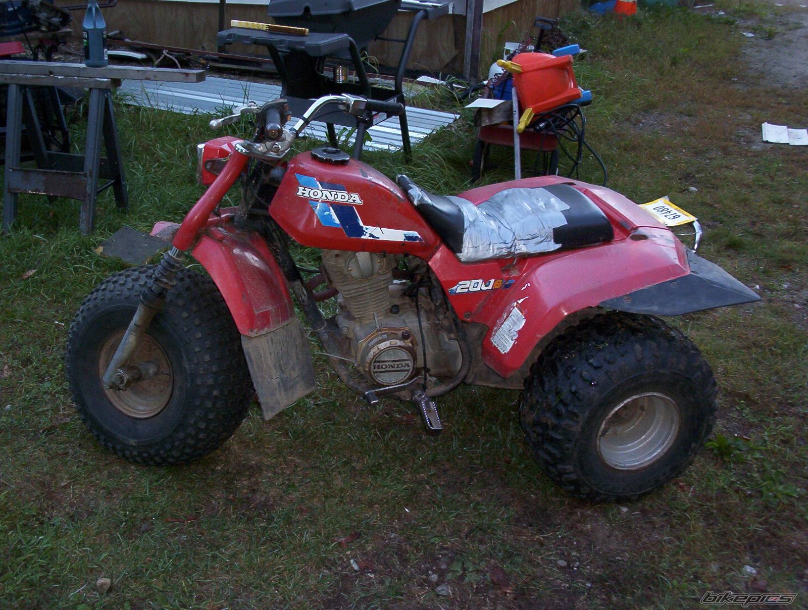 Photo 87145