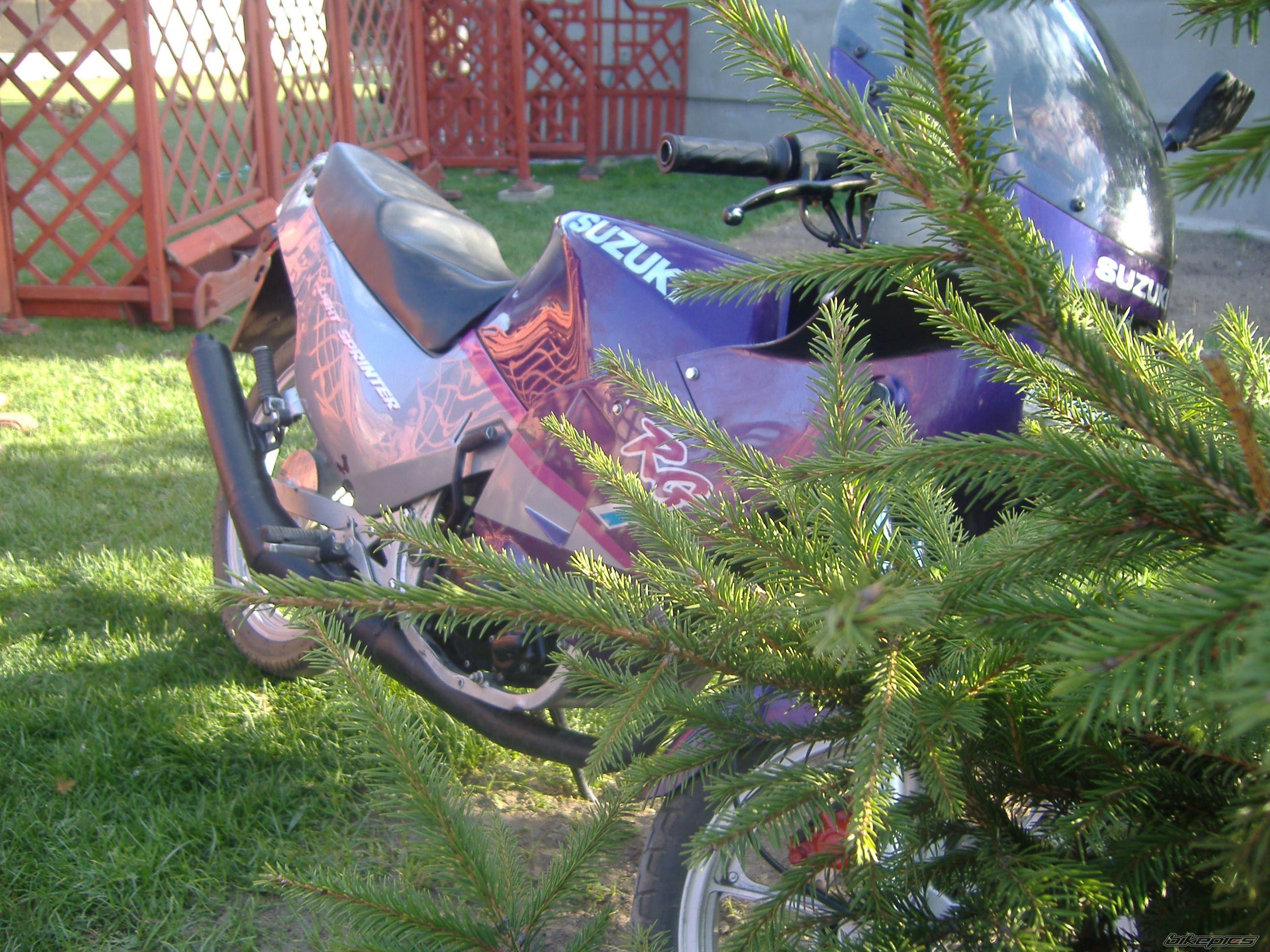 Photo 871807
