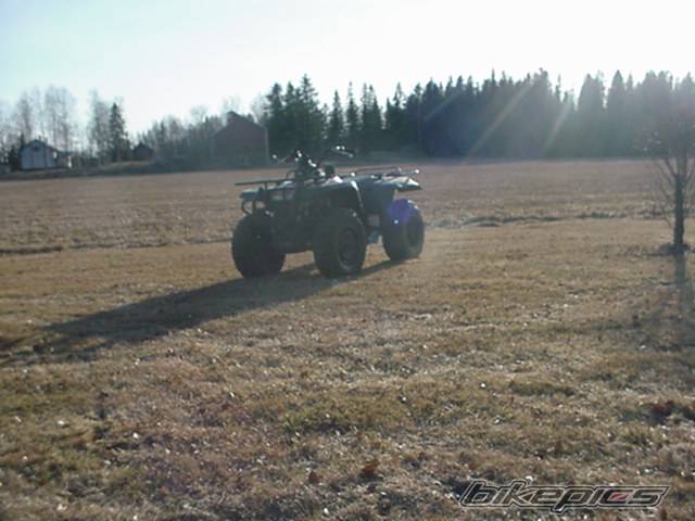 Photo 87205