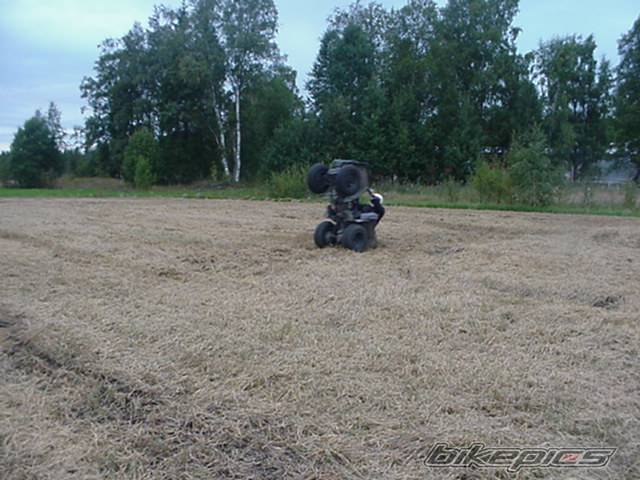 Photo 87207