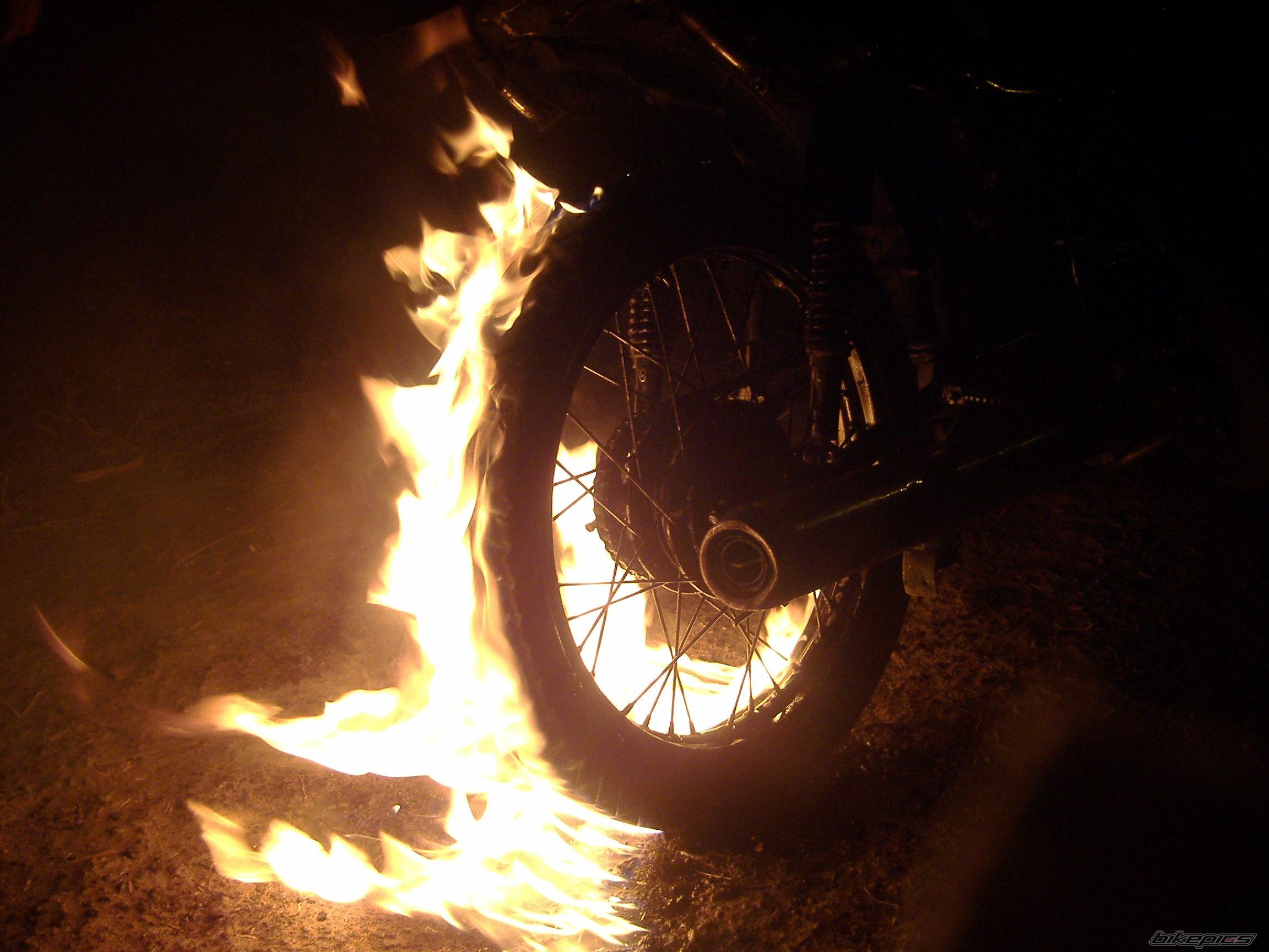 Photo 872192