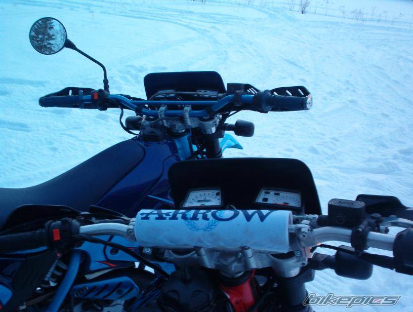 Photo 87220