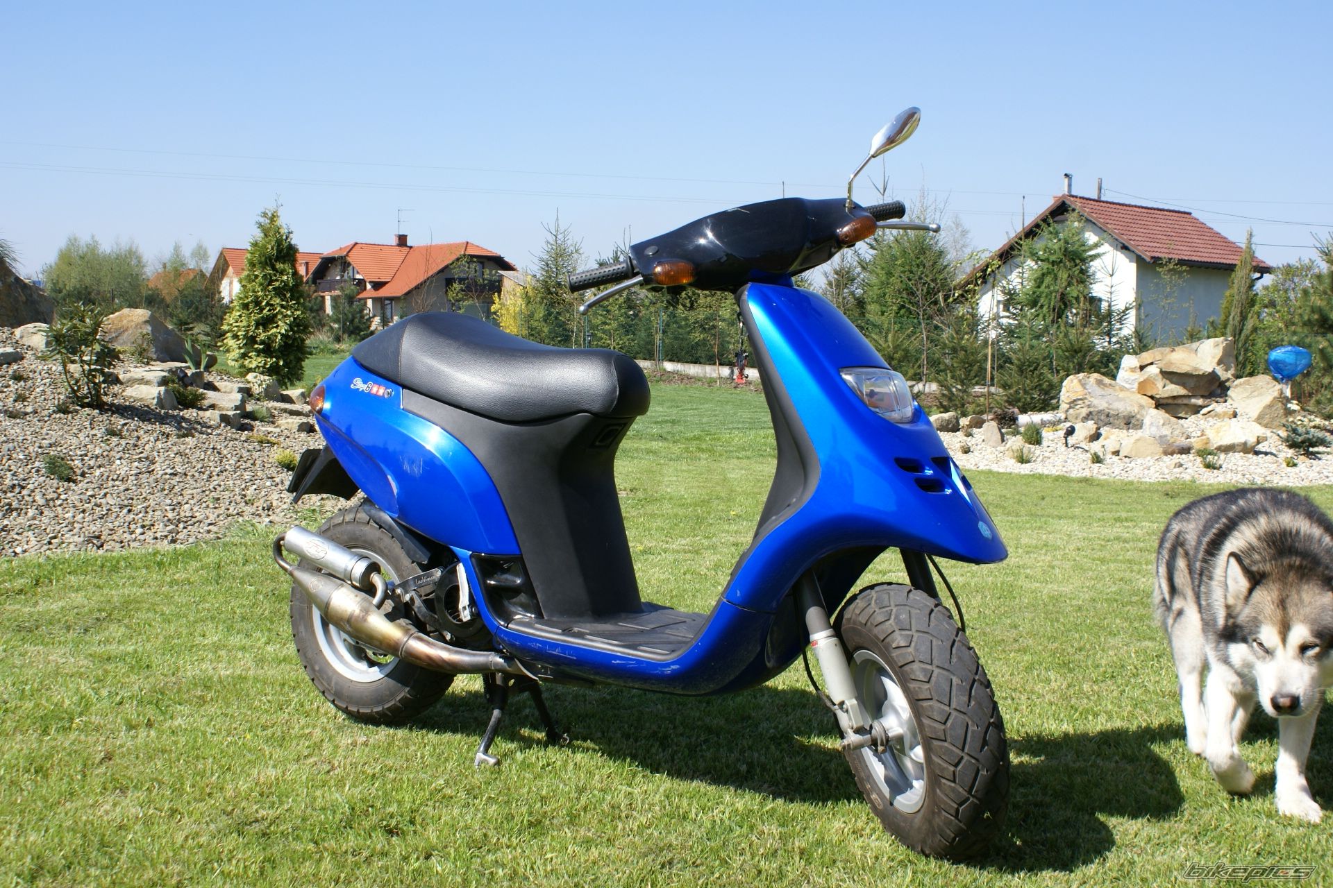 Photo 872337