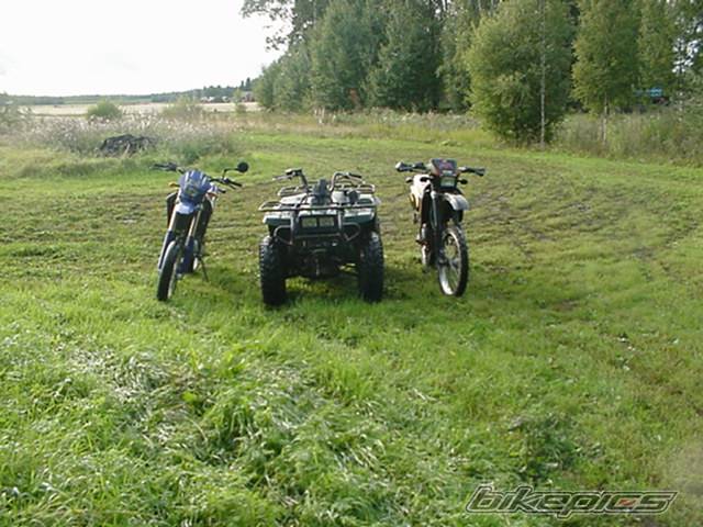Photo 87249