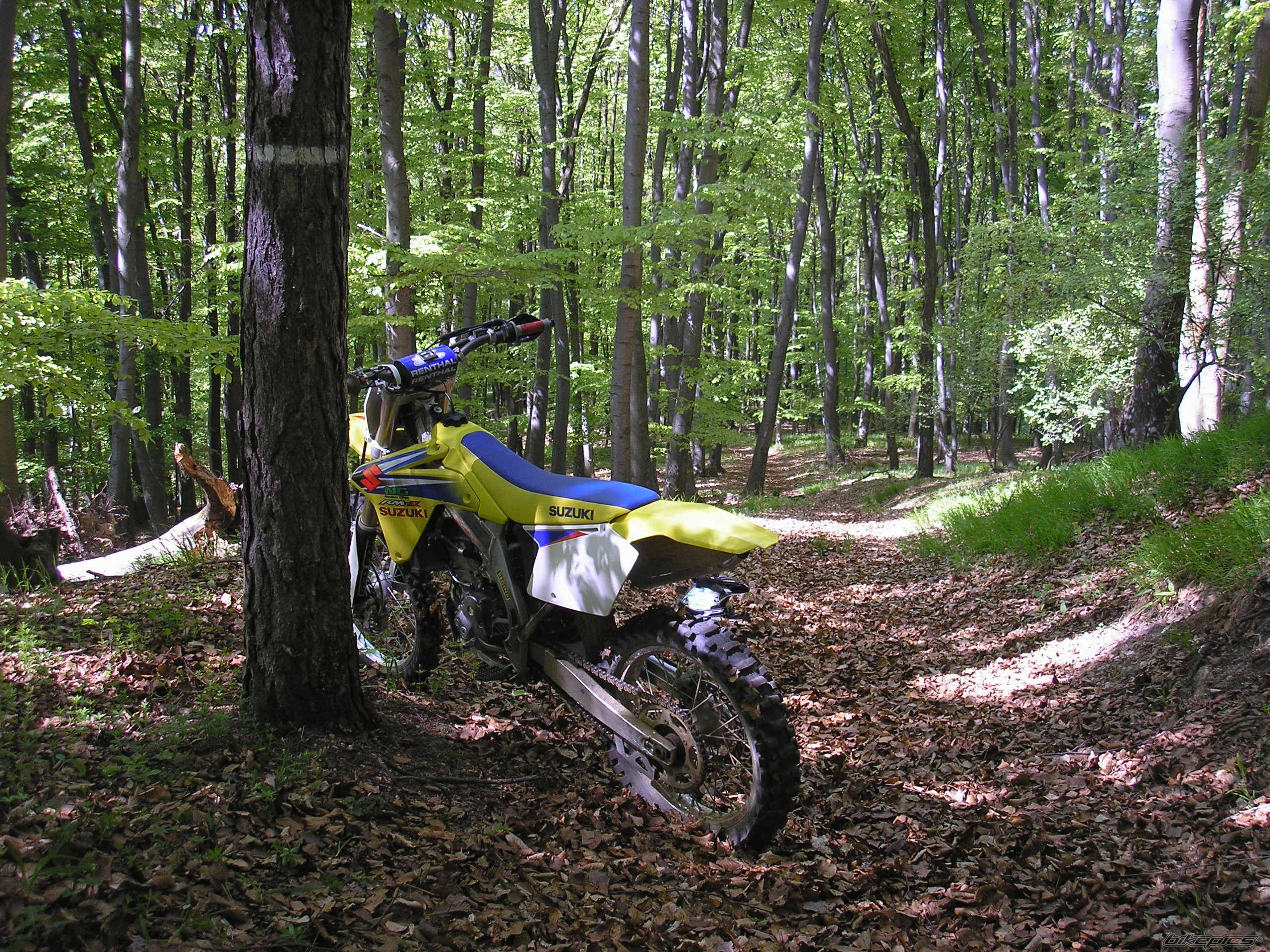 Photo 872524