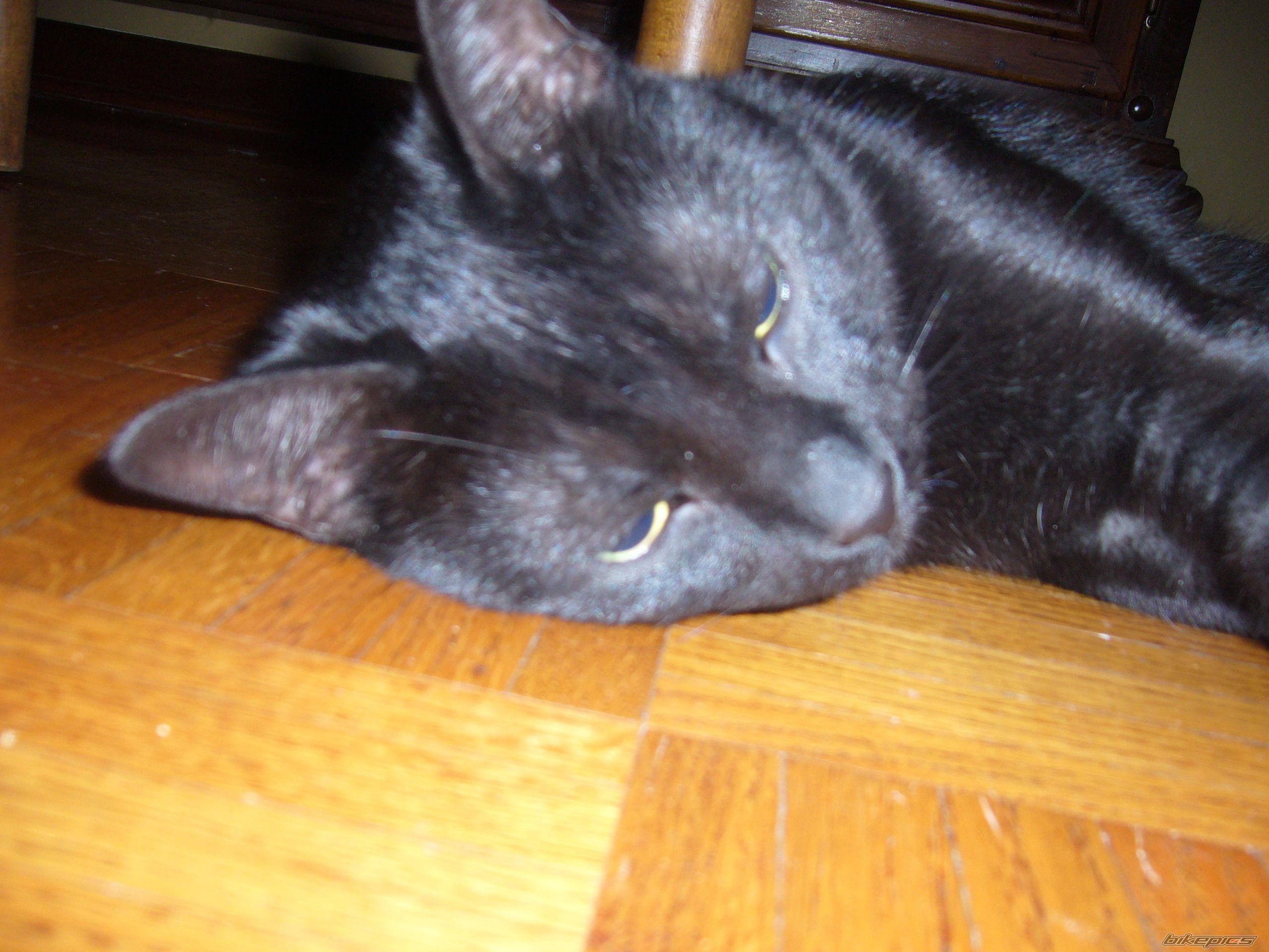Photo 872551
