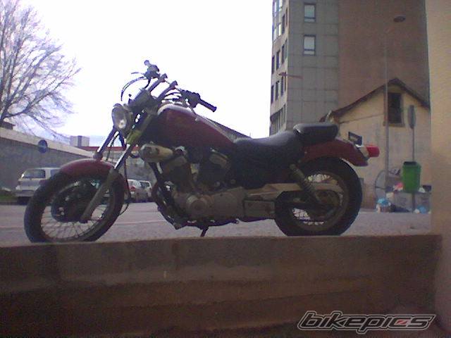 Photo 87257