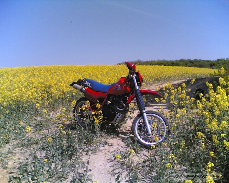 Bike Photo 872671