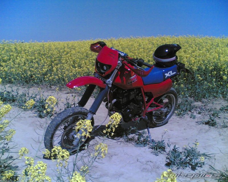 Bike Photo 872674