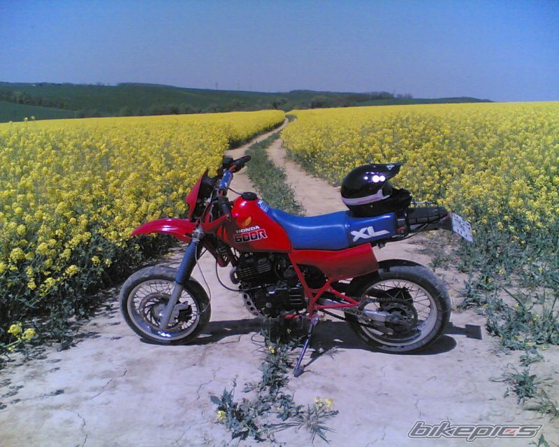 Bike Photo 872676