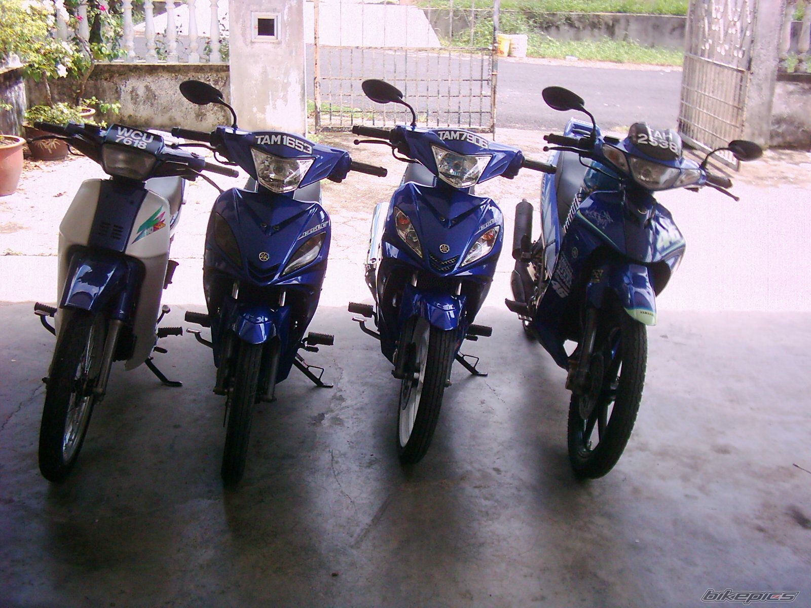 Photo 872722