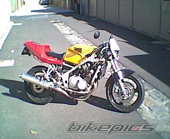 Photo 8728