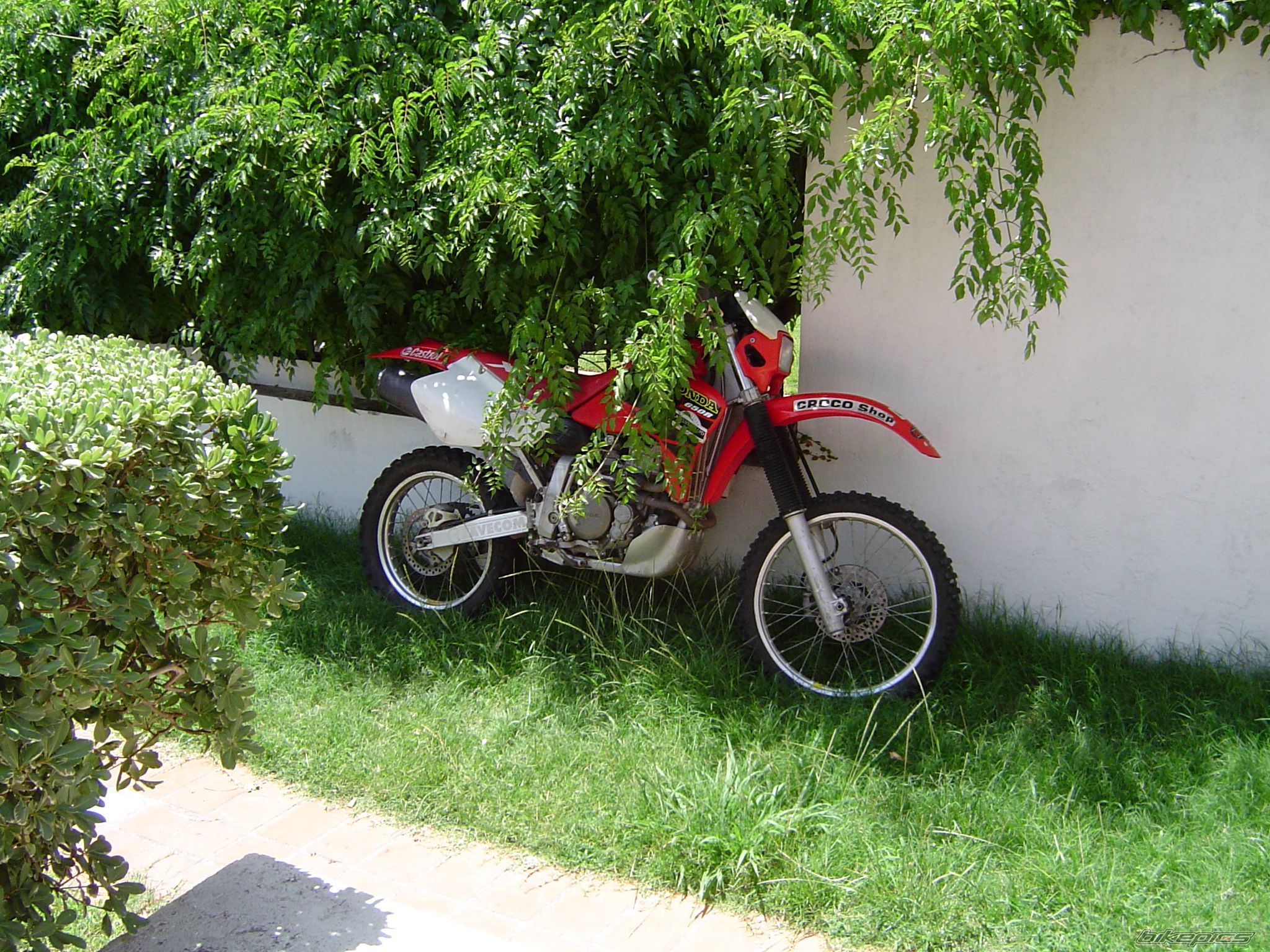 Photo 872837