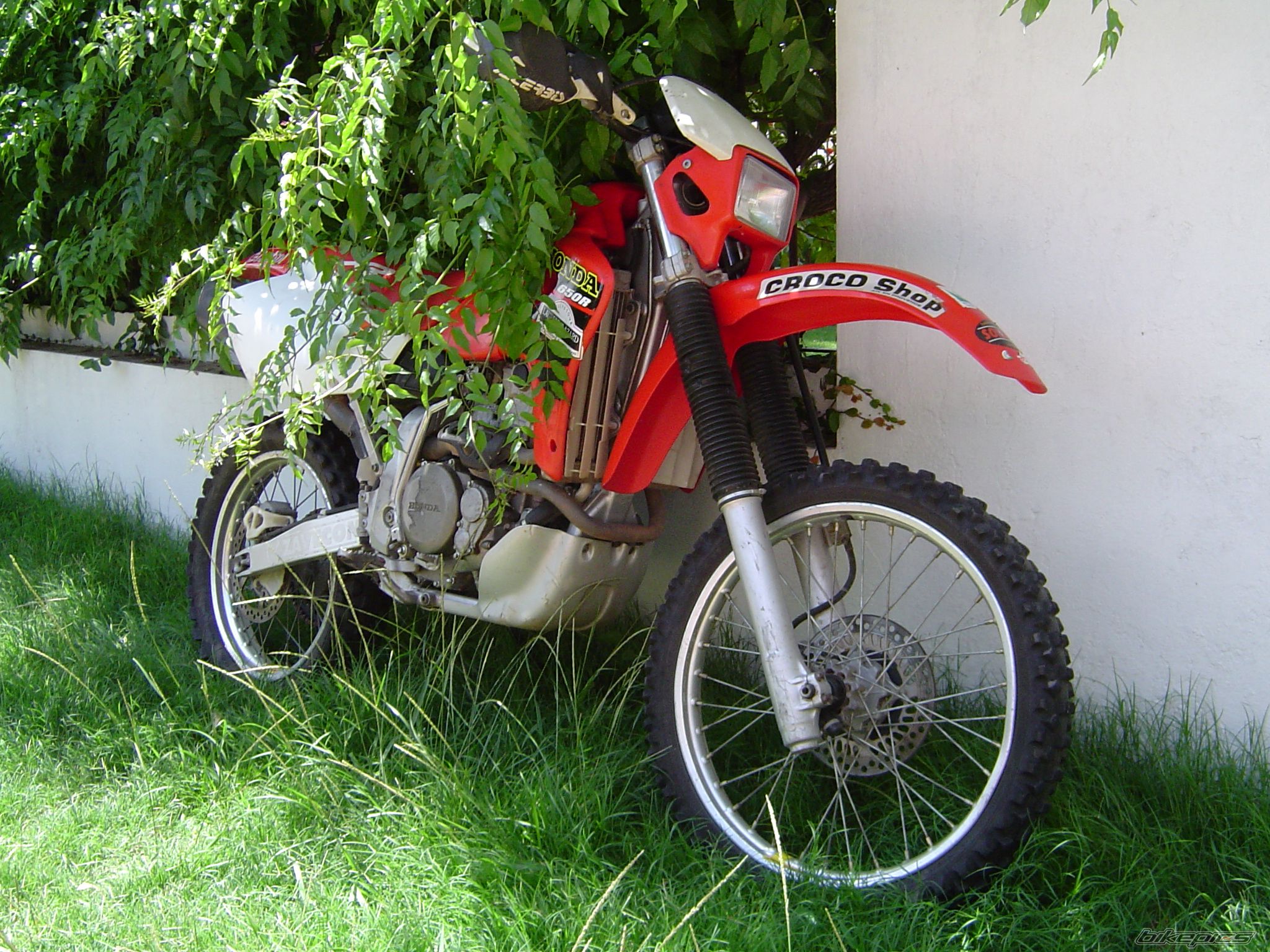 Photo 872846