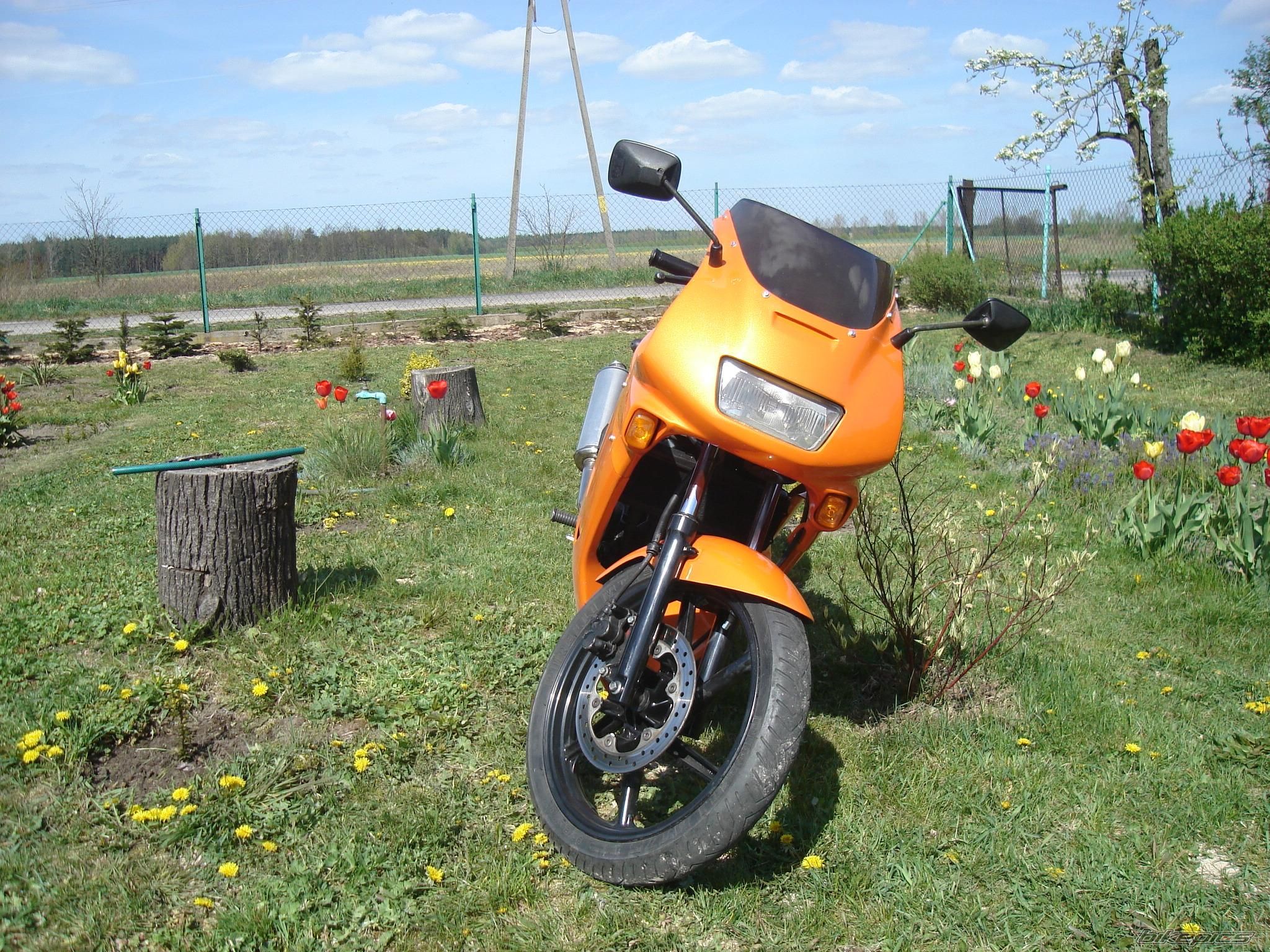 Photo 873036