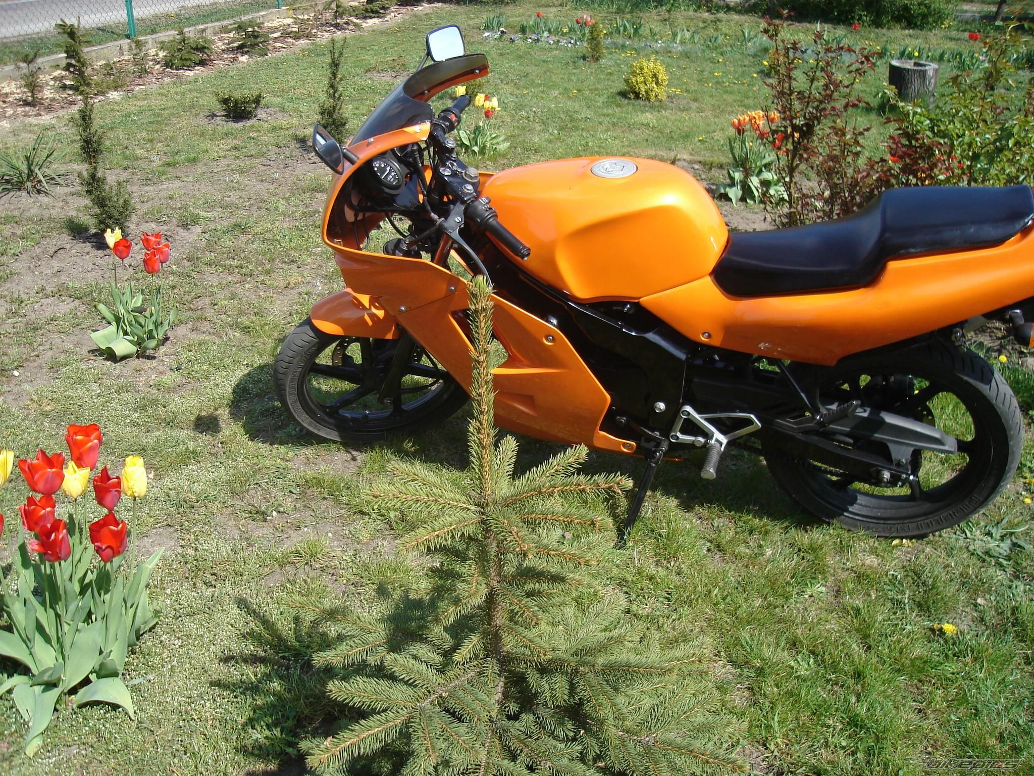 Photo 873056