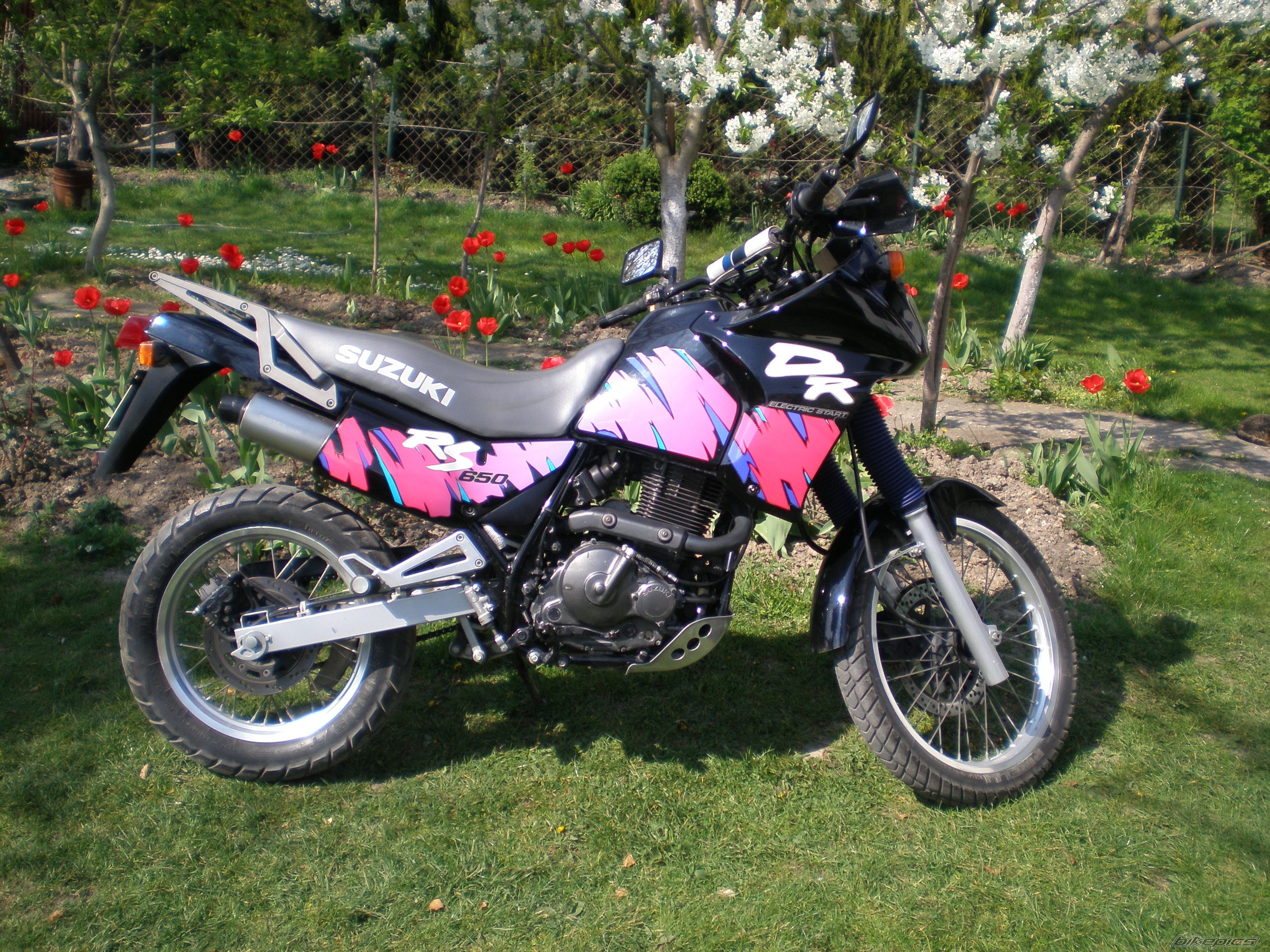 Photo 873180