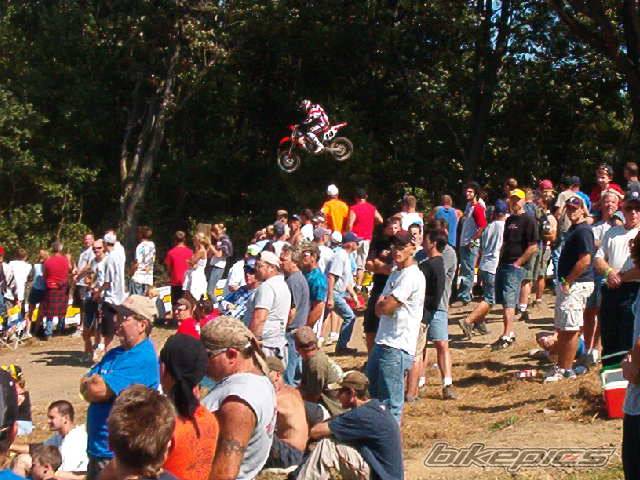 Photo 87331