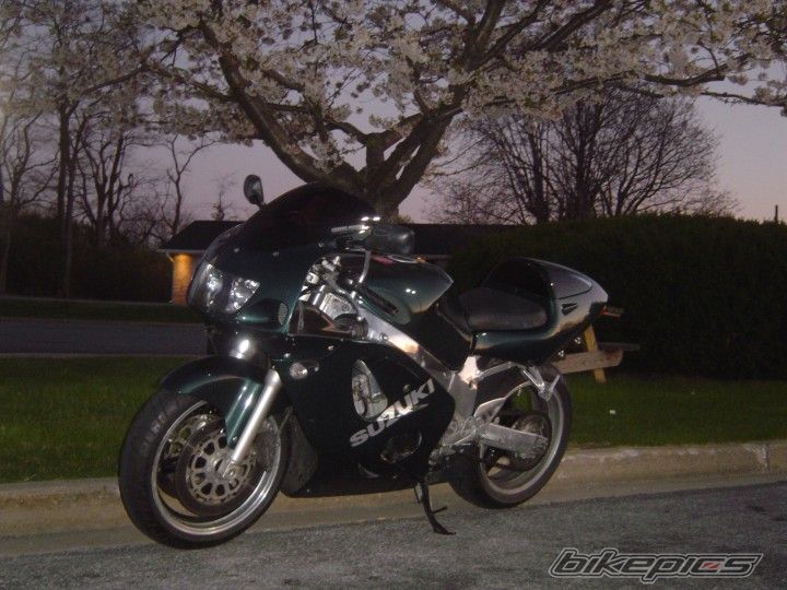 Photo 873469