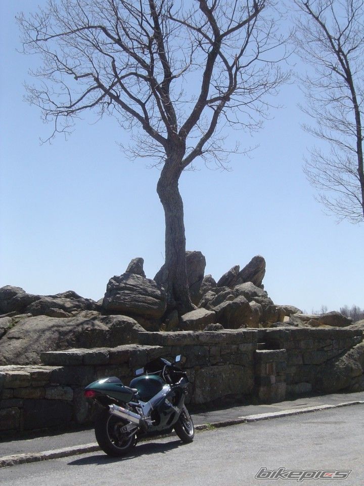 Photo 873490
