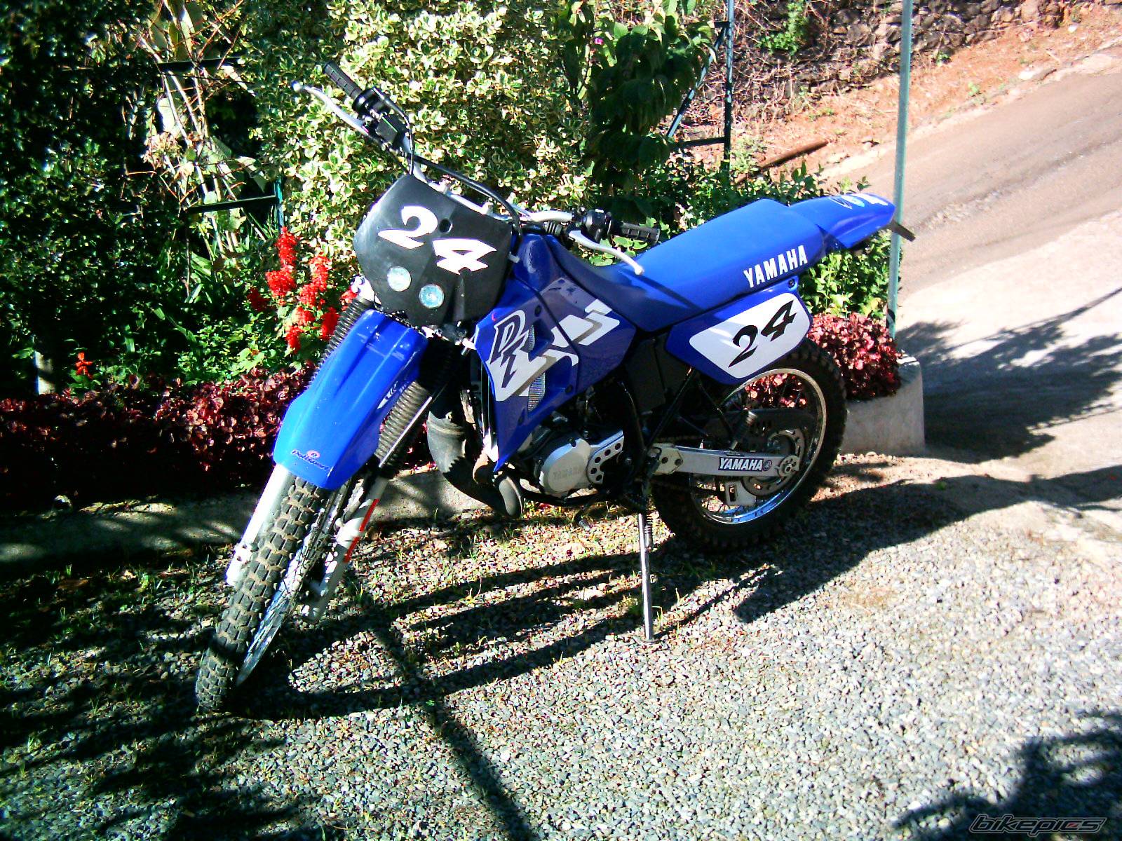 Photo 87372