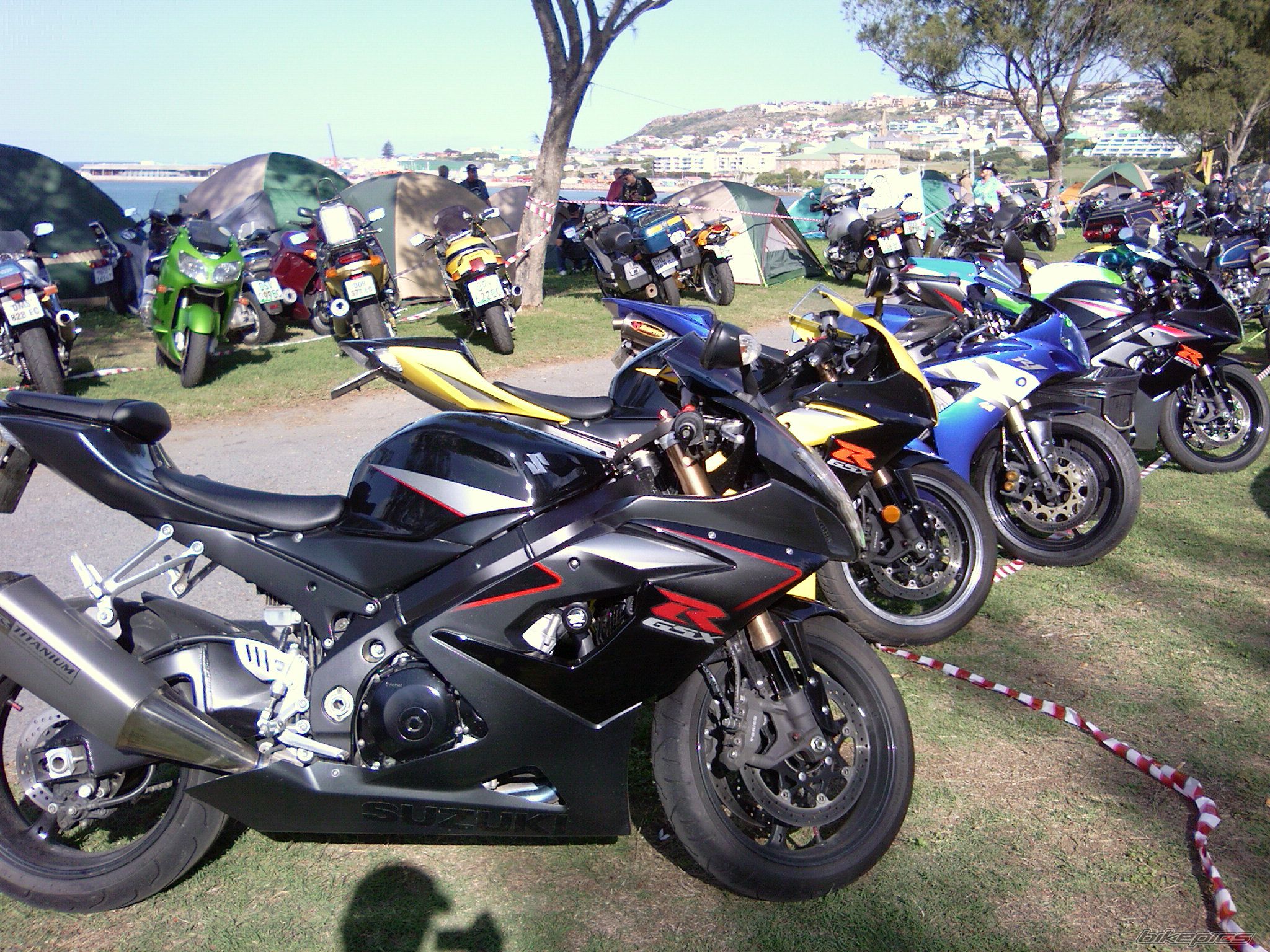 Photo 873789