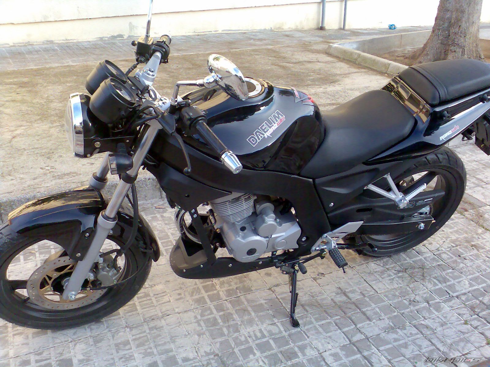 Photo 873868