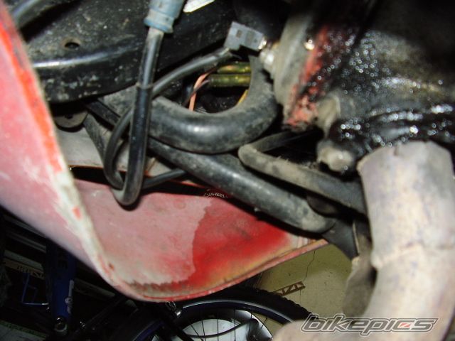 Photo 874196