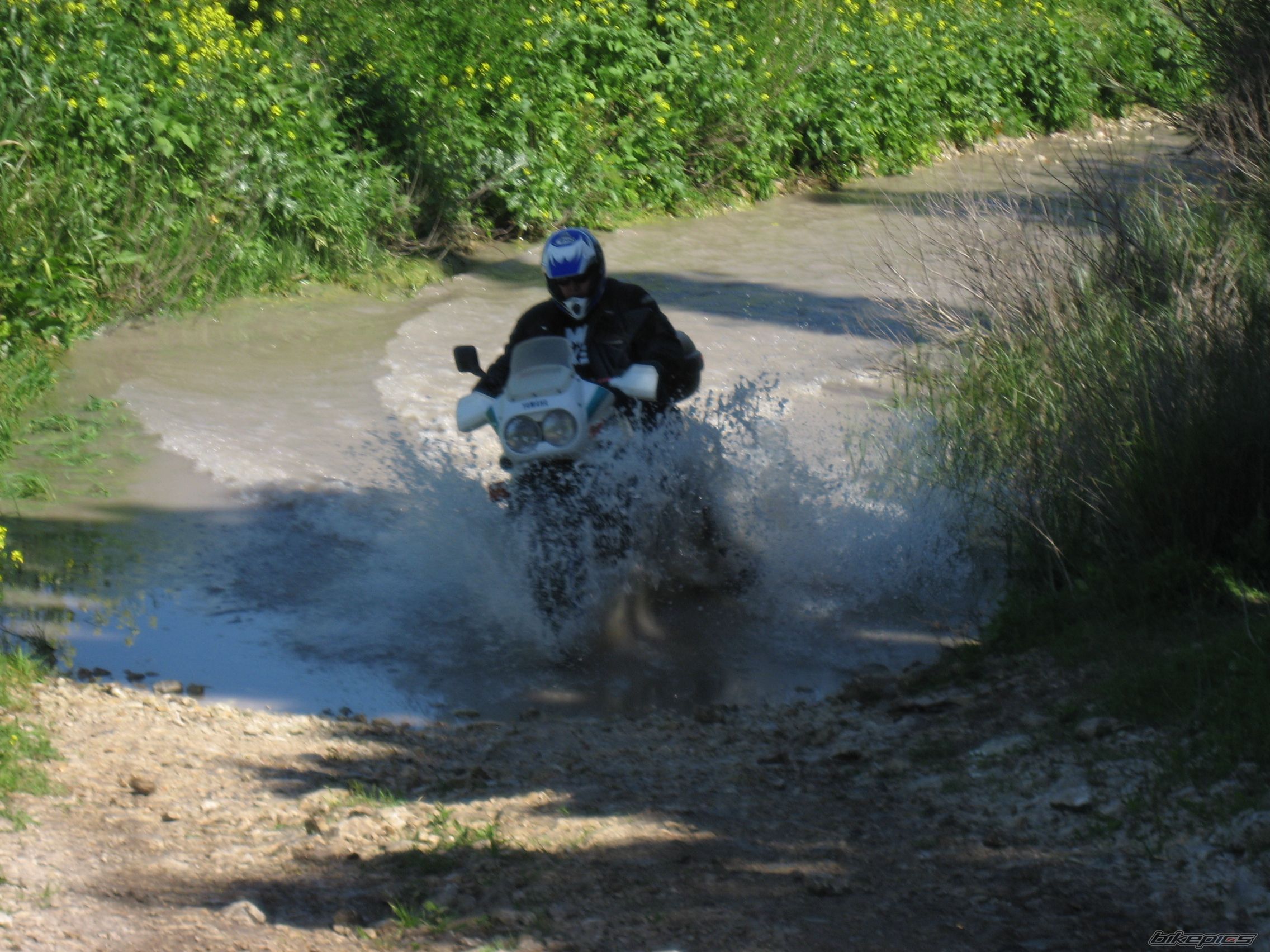 Photo 874351
