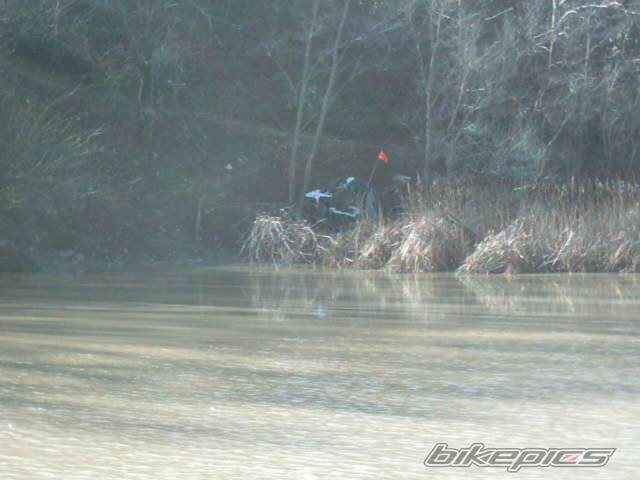 Photo 87442