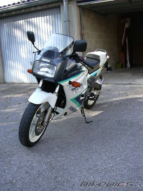 Photo 87469