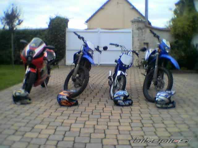 Photo 87474