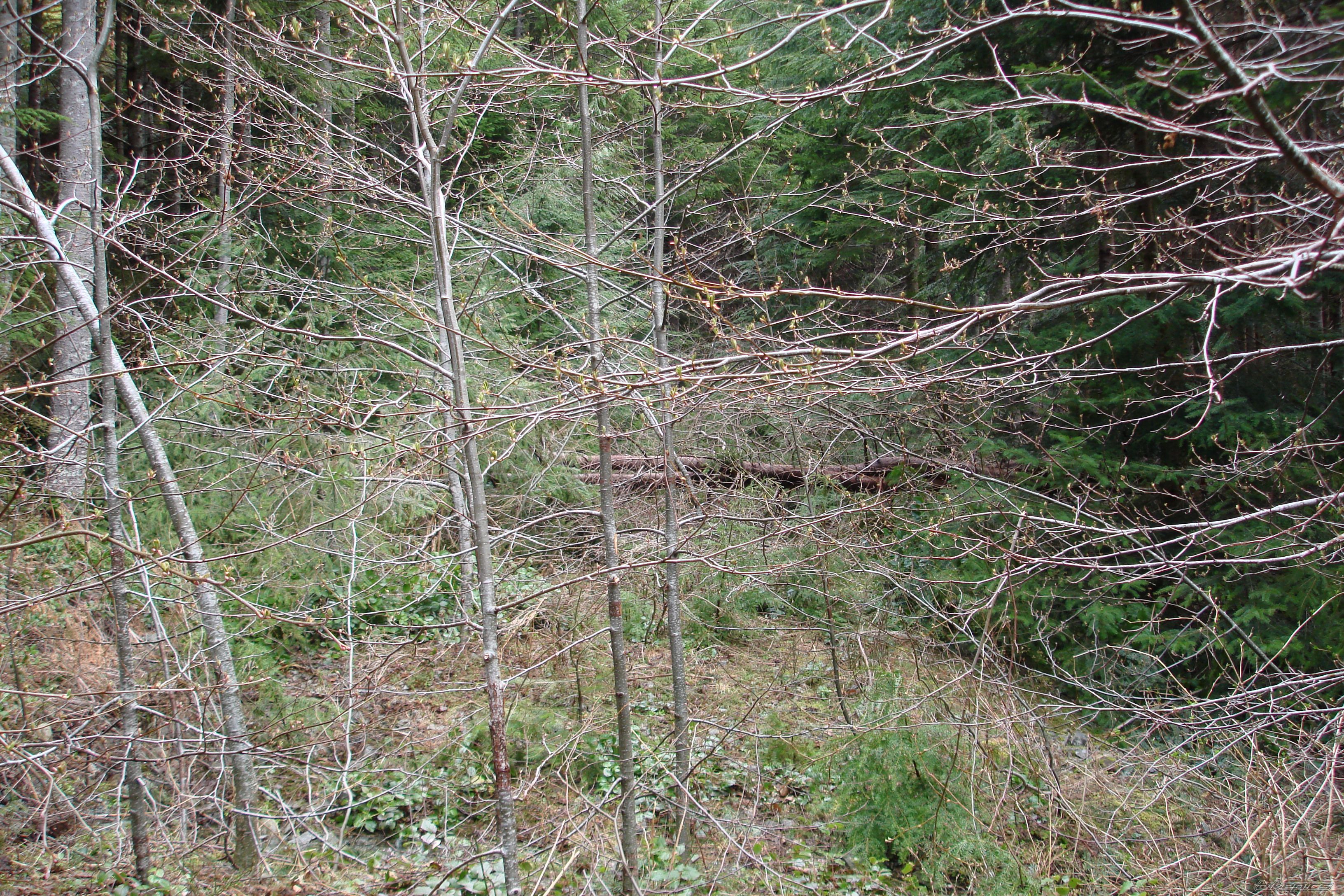 Photo 874796